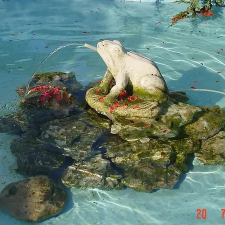 тайната градина Къща за гости 2*